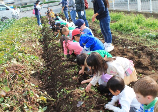 fieldtrip3 fieldtrip3